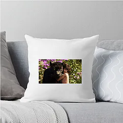 The Jungle Book The World Is A Jungle The Jungle Book Pillows Cover