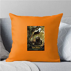 The Jungle Book My Favorite Childhood Story The Jungle Book Pillows Cover