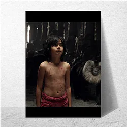 The Jungle Book Mowgli's Journey The Jungle Book Posters