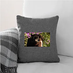 The Jungle Book The World Is A Jungle The Jungle Book Pillows Cover