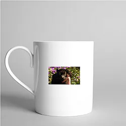 The Jungle Book The World Is A Jungle The Jungle Book Mugs