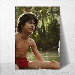 The Jungle Book Beyond The Jungle The Jungle Book Posters