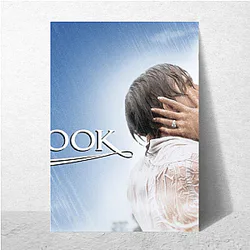 Timeless Love The Notebook Posters