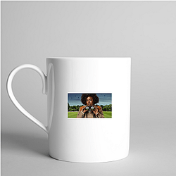 The Residence Collection The Residence Mugs
