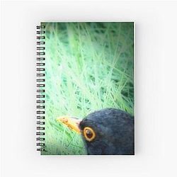 The Shining Blackbird Spiral Notebook