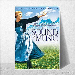 The Sound of Music My Favorite Musical The Sound Of Music Posters