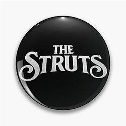 way the struts fund warped the struts tour Pin