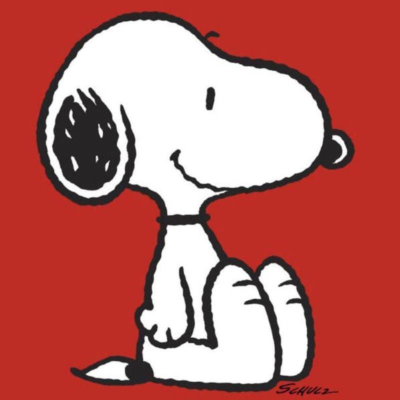Unleash Your Inner Fan with Official Snoopy Movie Merch!