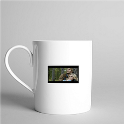 The 5th Wave describes an invasion in five waves The 5Th Wave Mugs
