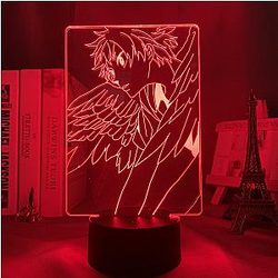 Haikyuu Lamp - HINATA WINGED Led Anime Lamp OTAKU0705