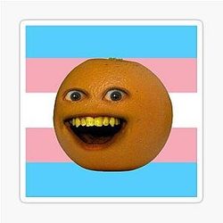 Annoying Orange Trans Flag Sticker