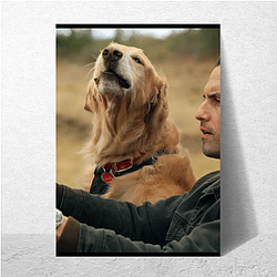 The Art of Racing in the Rain My Favorite Tearjerker The Art Of Racing In The Rain Posters