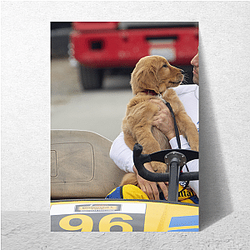 The Art of Racing in the Rain Always Heartfelt Always Inspiring The Art Of Racing In The Rain Posters
