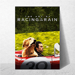The Art of Racing in the Rain The Best Drama Movie The Art Of Racing In The Rain Posters