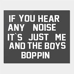 The Boys Posters - Boppin met The Boys Poster