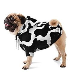 Cool Cow Print Hoodie For Dogs Official Merch CL1211