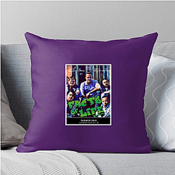 The Facts of Life Is My Stage The Facts Of Life Pillows Cover