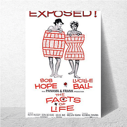 The Facts of Life My Favorite Sitcom The Facts Of Life Posters