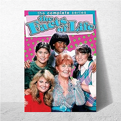 The Facts of Life The Best TV Series The Facts Of Life Posters