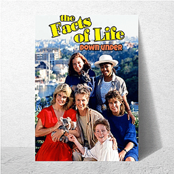 The Facts of Life Beyond The Screen The Facts Of Life Posters