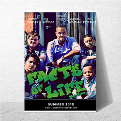 The Facts of Life Is My Stage The Facts Of Life Posters
