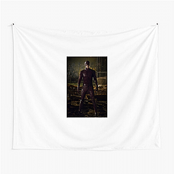 The Flash protects Central City from supervillains The Flash Tapestries
