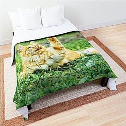 Friendly cat in the garden says hey to a leaf! Comforter