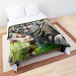 Super cute kitty cat in the garden says hey to you! Comforter