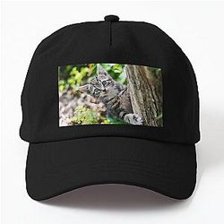Super cute kitty cat in the garden says hey to you! Dad Hat