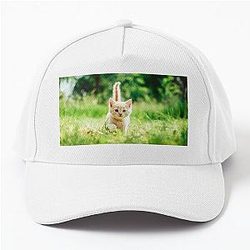 Little beautiful kitty cat in the garden says hey to you! Baseball Cap