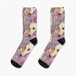 Shy flower whippet greyhound dog hiding in the garden Socks