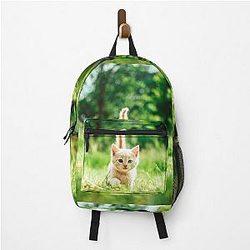 Little beautiful kitty cat in the garden says hey to you! Backpack