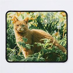 Colorful cat in the garden hiding says hey to you! Mouse Pad