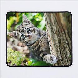 Super cute kitty cat in the garden says hey to you! Mouse Pad