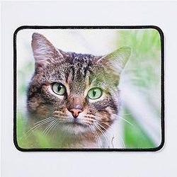 Hiding tiger like cat in the garden says hey to you! Mouse Pad