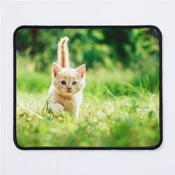 Little beautiful kitty cat in the garden says hey to you! Mouse Pad