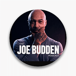 Story Hub The Joe Budden Podcast Pins