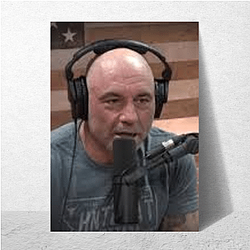 Dialogue Station The Joe Rogan Experience Posters