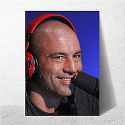 Talk Space The Joe Rogan Experience Posters