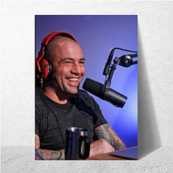 Audio Journey The Joe Rogan Experience Posters