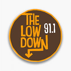 Bookstore Sleuth The Lowdown Pins