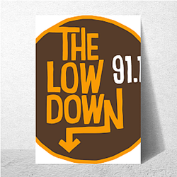 Bookstore Sleuth The Lowdown Posters