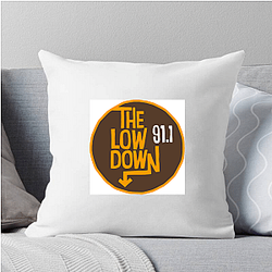 Bookstore Sleuth The Lowdown Pillows Cover