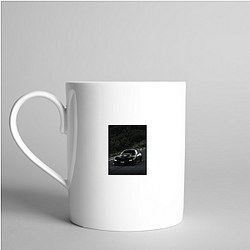 Political Cover-up The Lowdown Mugs