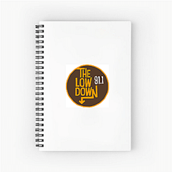 Bookstore Sleuth The Lowdown Notebook