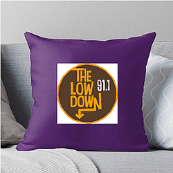 Bookstore Sleuth The Lowdown Pillows Cover