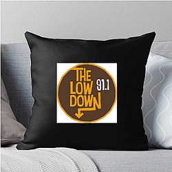 Bookstore Sleuth The Lowdown Pillows Cover