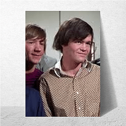 Vintage Vibes The Monkees Posters