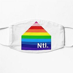 The National (Band) - Rainbow Logo (Sleep Well Beast) Flat Mask