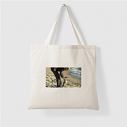 The Penguin Lessons explores themes of self-discovery The Penguin Lessons Bags